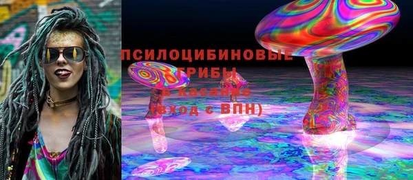прущие грибы Навашино