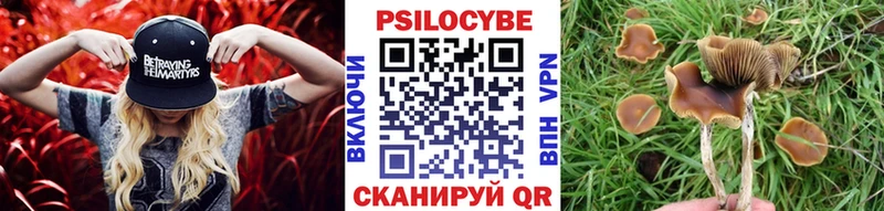 Псилоцибиновые грибы Psilocybine cubensis  Похвистнево 